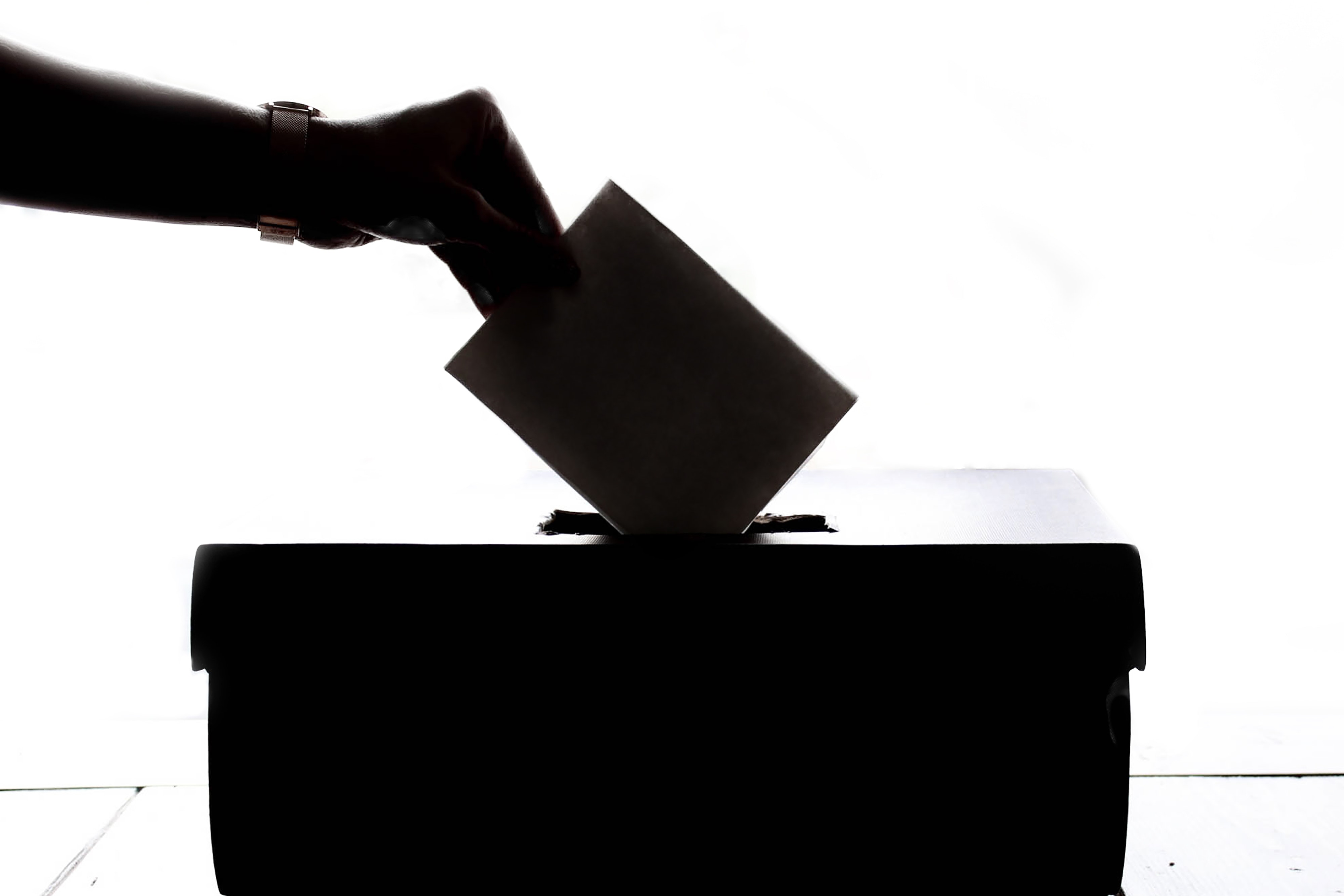 vote wisely image
